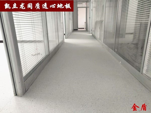 凱立龍金盾