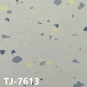 贊比亞TJ-7613