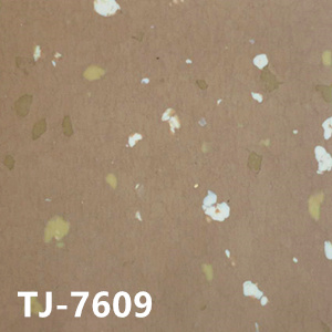 贊比亞TJ-7609