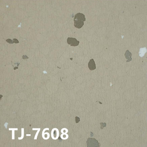 贊比亞TJ-7608