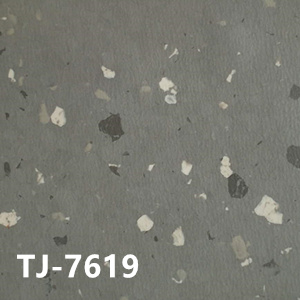 贊比亞TJ-7619