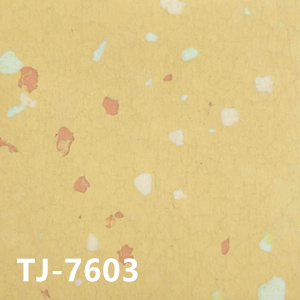 贊比亞TJ-7603