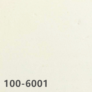 100-6001