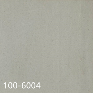 100-6004