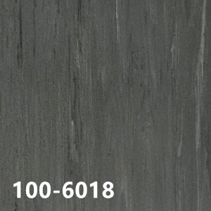 100-6018