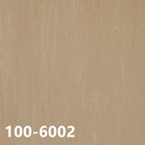 100-6002