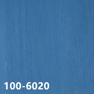 100-6020