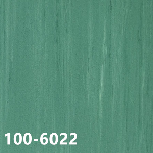 100-6022