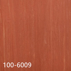 100-6009
