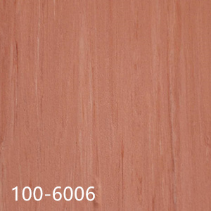 100-6006