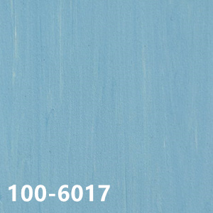 100-6017