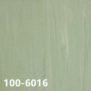 100-6016
