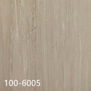 100-6005