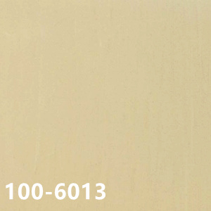 100-6013