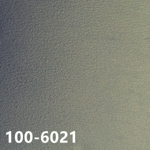 100-6021