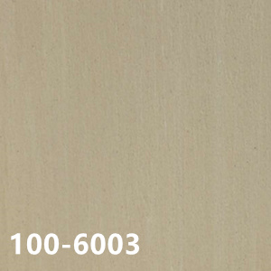 100-6003
