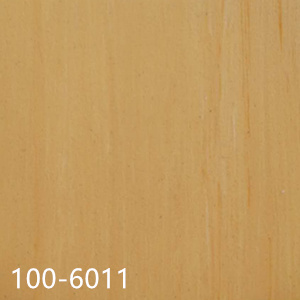 100-6011