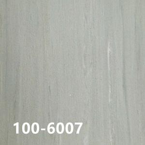 100-6007