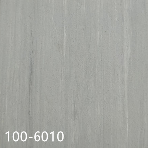 100-6010