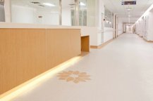 PVC卷材地板集所有地材優(yōu)點(diǎn)于一身